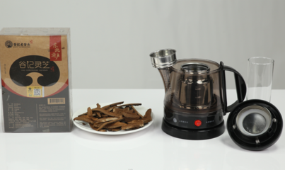 养生壶萃取灵芝茶