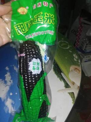 洪谷记