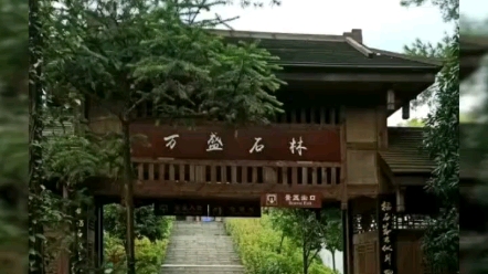 重庆万盛黑山谷记行