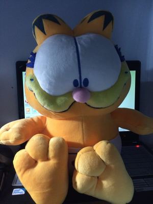 请问加菲猫有没有什么正品周边产品? - 加菲猫的回答 - 