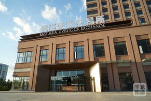 中国食品谷做 舌尖 大文章 推动潍坊现代农业产业转型