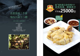 菜谱设计 和谷记椰子鸡 摄影 美食